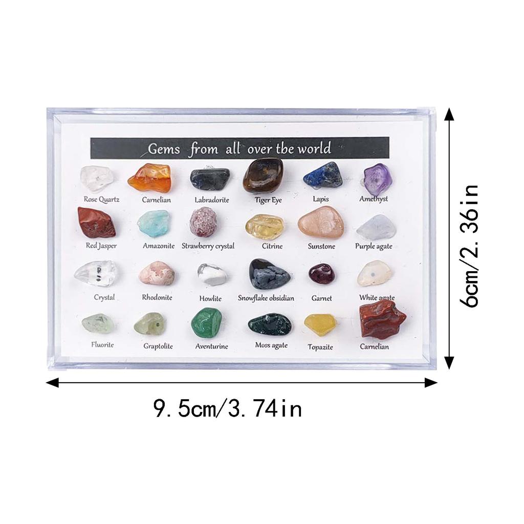 24Pc Rock & Mineral Collection with Collector Box/Display Case, ID Sheet, Gemstone Crystal Kit, STEM Geology Science Education