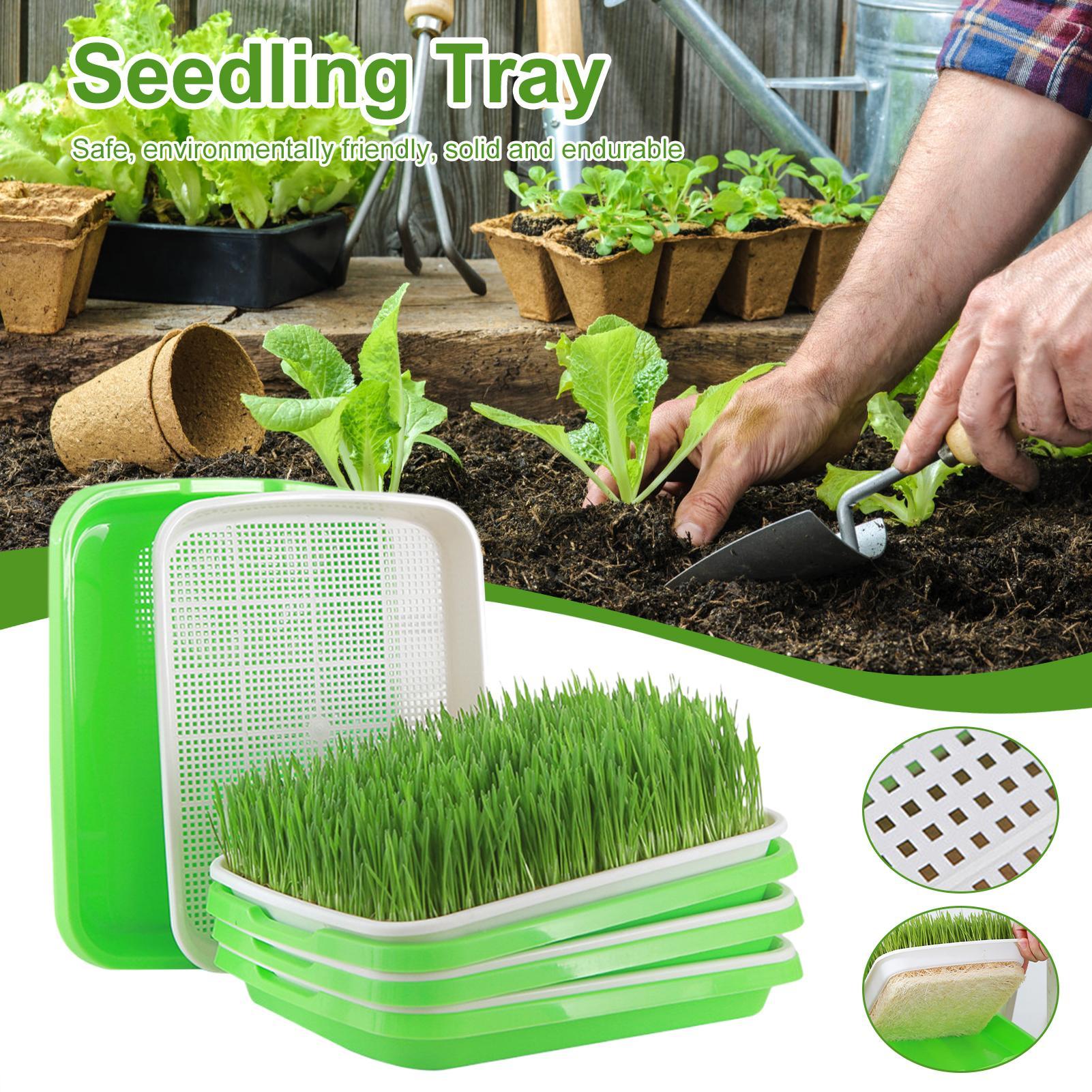 

Sprouting Trays Reusable Planting Trays Multi-Layer Sprout Vegetable Planting Tool For Professional Indoor Watering Breeding China Mainland