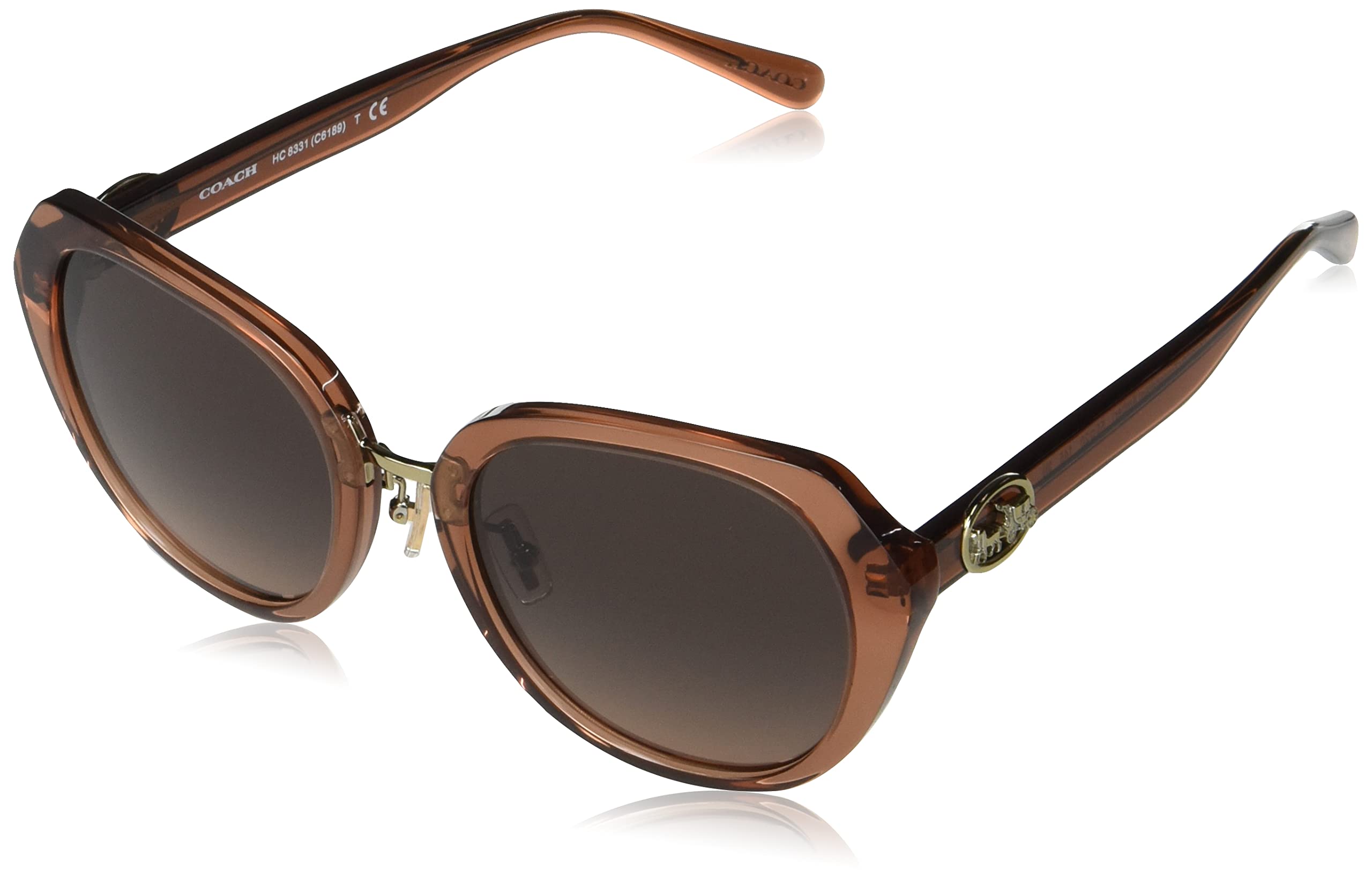 

Coach HC8331 Transparent Amber 55 Sunglasses Women s