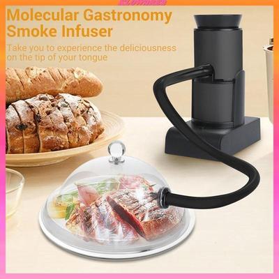 Portable Mini Food Professional Molecular Gastronomy Infuser BBQ Meat Foodie Kitchen Tools Set