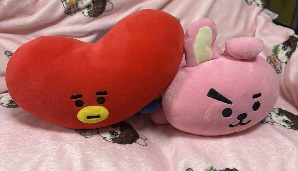 [USED] BT21 Tata Cookie Goods Bulk Sale