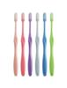 [Great Value 2-Pack] Toothbrush Designed by Toothbrush Craftsman Shigeji Tanabe: LT-59 Easy-to-use Toothbrush for People In Their 40s and Up, Tapered