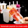 DIY Popsicle and Ice Cream Mold