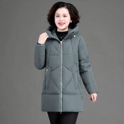Women's Fluffy Warm Coat Hooded Plus Size Warm Coat Winter Thickened Warm Hooded Coat
