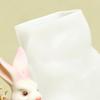 Easter Bunny Silicone Mold 3D Silicone Craft Casting Supplies Epoxy Resin Molds for Party Suitable for making handicrafts