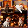 BEAUTY PLAYER Halloween Pet Costume Pumpkin Hat Transformation Photo Prop Party Cats Puppies