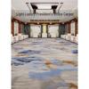 Commercial Printed Flame Retardant Soundproof Nylon Carpet for Conference Rooms and Hotels