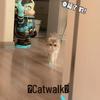 Pet Luminous Shoes, Whistle Night Light, and Photography Accessories for Cats and Dogs