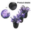 Compact Decorative Plants Artificial Plants Home Decoration Easy To Setup High-Quality Plastic No Watering Required