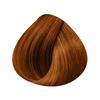 Dauerhafte Coloration - Schwarzkopf - Igora Royal 8-77 - Extra helles Kupferblond - 60ml - Hohe Definition