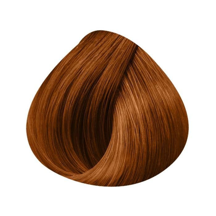 Dauerhafte Coloration - Schwarzkopf - Igora Royal 8-77 - Extra helles Kupferblond - 60ml - Hohe Definition