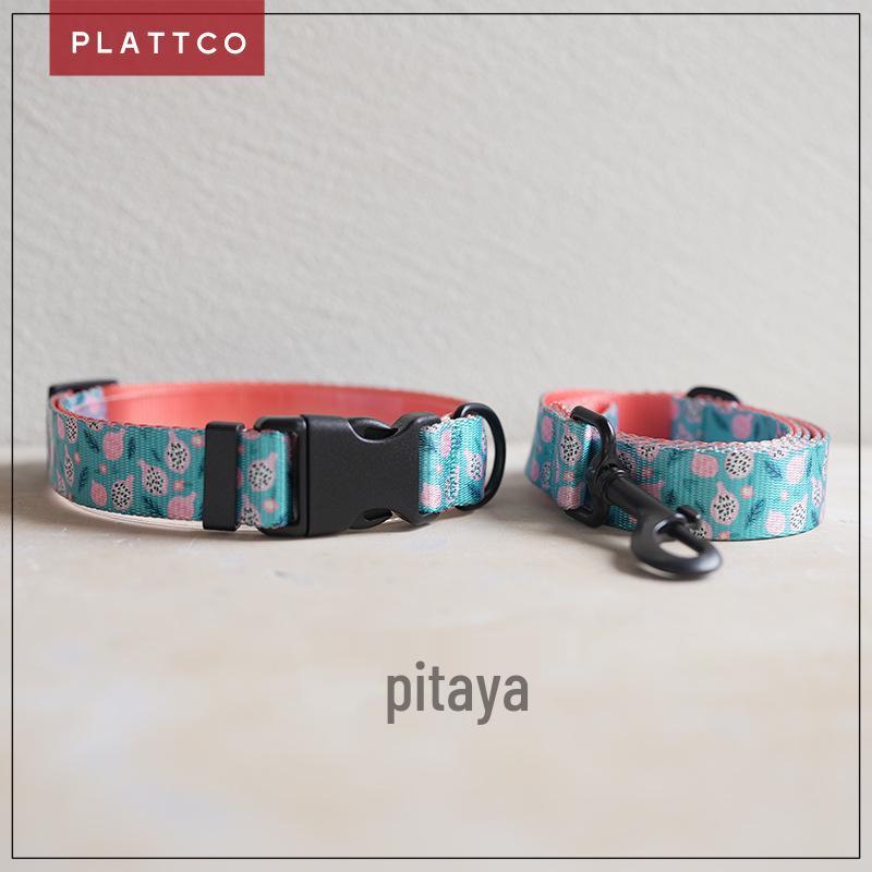 PLATTCO Pitaya Dog Collar & Leash with New Print (PDC323) XS