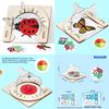 Science Experiment Diy Mirror Reflection Kit For Kids Educational Handson Learning