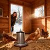 Chicken Waterer Heater Anti-Freeze Poultry Drinking Equipment Chicken Waterer Heater For Winter For Farm Coops Duck Rooster