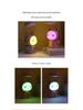 Cartoon LED Eye-Protection Rechargeable Desk Lamp & Night Light