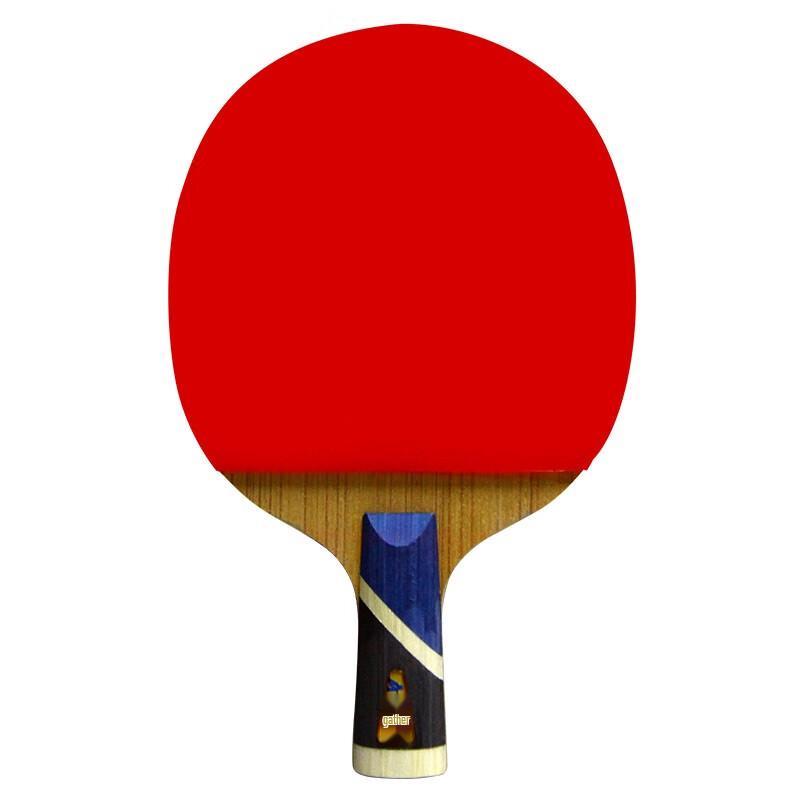Double Fish 5-Star 5A+ Table Tennis Racket