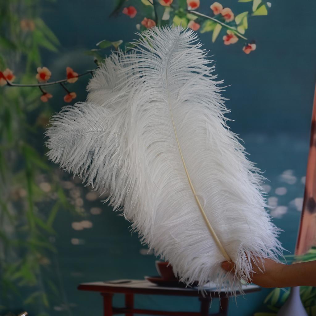 Thick Rod Wide Hair 50-55Cm Ostrich Feather Wedding Road Guide Table Flower Home Decoration Ornament Ostrich Hair White