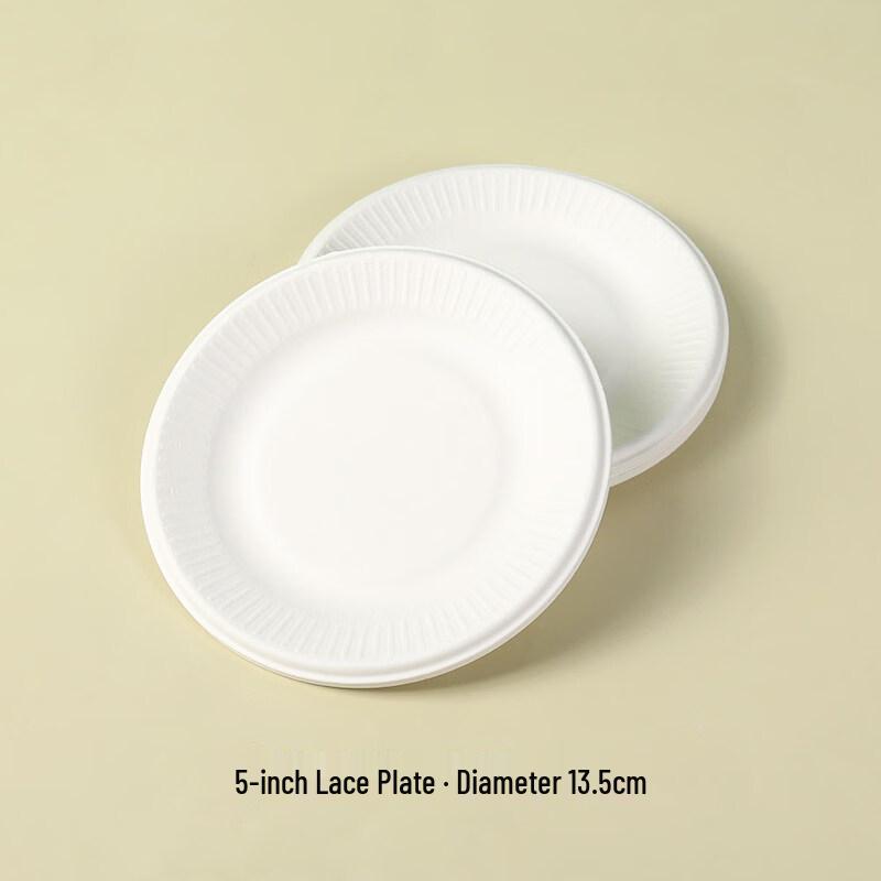ZISIZ Disposable Rectangular Paper Plates