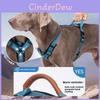 Pet Harness With Reinforced Leather Back Support No Resist Durable For Active Dogs