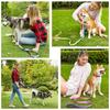 Verstellbares Hundehalsband aus Nylon, Hundeleine, Haustier-/Katzenhalsband, Traktionsleine, geeignet für kleine und große Hunde, Bulldoggen, Möpse, Beagle