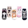 Chaussettes Basses pour Femmes 5 Paires Dessins Animés Rigolos Motif Chats Colorés Mélange de Coton Respirantes Courtes Bas Habillement Cadeau