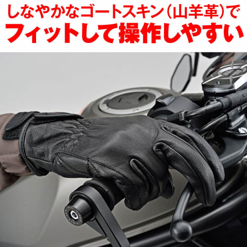 Daytona Motorcycle Gloves Spring/Summer/Autumn/Winter Genuine Leather (Goat Leather) Goatskin Standard Gloves Black L Size 76376