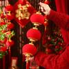 Printed Pattern Chinese Lantern Pendant Flocked Fabric Circular Window Lantern  Chinese New Year