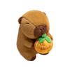 Cute Capybara Doll Fruit Pie Series Kapibala Plush Toy Doll Children's Pillow Gift