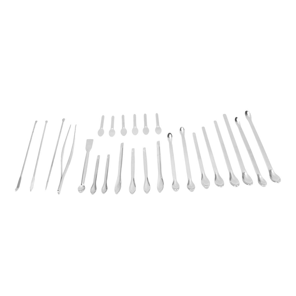 25Pcs Laboratory Spoon Spatula Tweezers Set 304 Stainless Steel Long Handle Multifunctional Laboratory Sampling Scoop