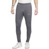 Dri Fit Günlük Pantolon Erkek Gri DV9741-069