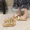 Fairy wind platform slippers female outer wear summer 2025 new small two wear French fashion muffin Roman shoes