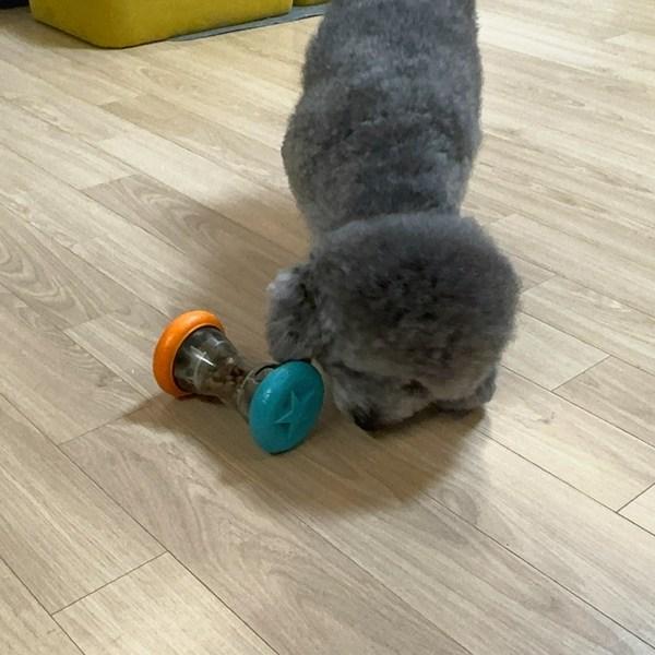 Doggie Norit Welpen Nasenarbeit Snack Schnüffelball Hundespielzeug, 2 Stück
