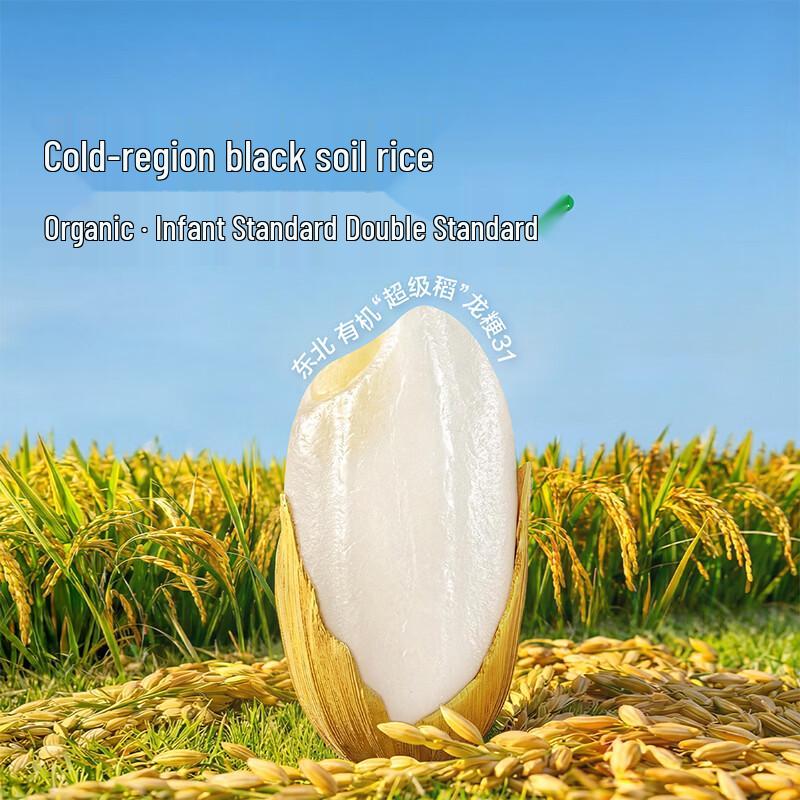 Baby Craving Organic Iron-Calcium Fortified Infant Rice Cereal