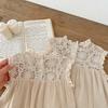 Infant Girls' Seersucker Ruffle Lace Sleeveless Dress