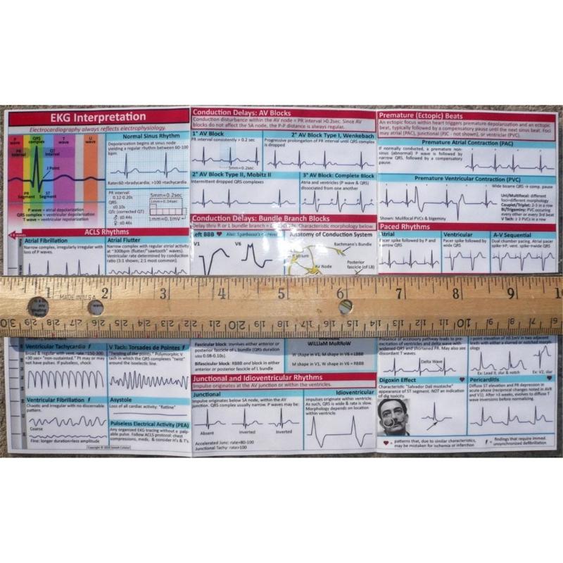 Professional Electrocardiogram Instruction Poster Double Side EKG Pocket Guide Reference for Students Nurse Doctor