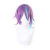 Project Sekai Colorful Stage Feat. Kamishiro Rui Cosplay Wig Carnival