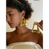 1 Pair Exaggerated Asymmetrical Hollow Out Earrings For Women