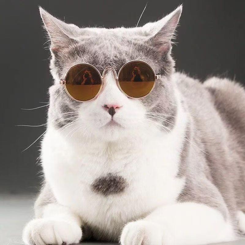 Round glasses cat sunglasses UV protection glasses trendy cool accessories metal glasses pet supplies sunglasses