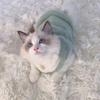 Faux Rabbit Fur Cat Clothing Warm Dog Vest Soft Pet Supplies  Dog