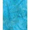 Ruffled Turquoise Feathers 3 G Lg 8 To 12 Cm