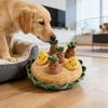 Pet Chew Toy, Boredom Relief Toy, Dog Interactive Toy, Enhances Bonding