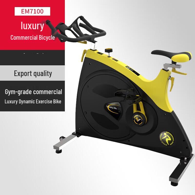 Emai EM7100 Commercial Spin Bike