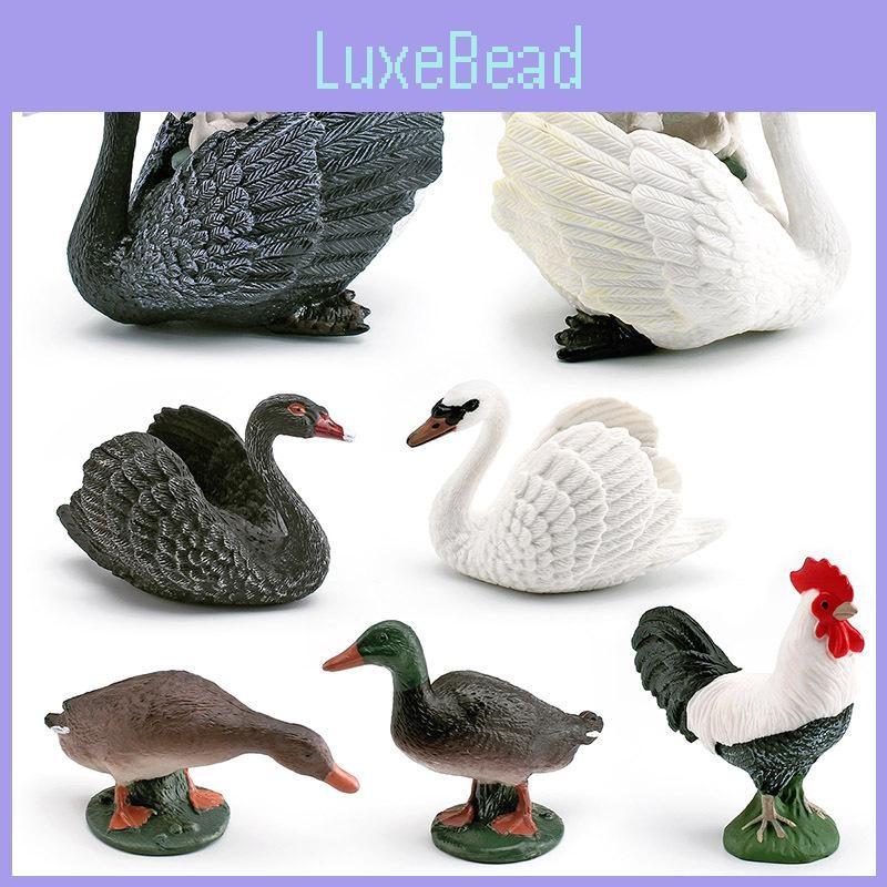 Animal Figures Realistic Model With Ducks Rooster Swans For Decorative Display