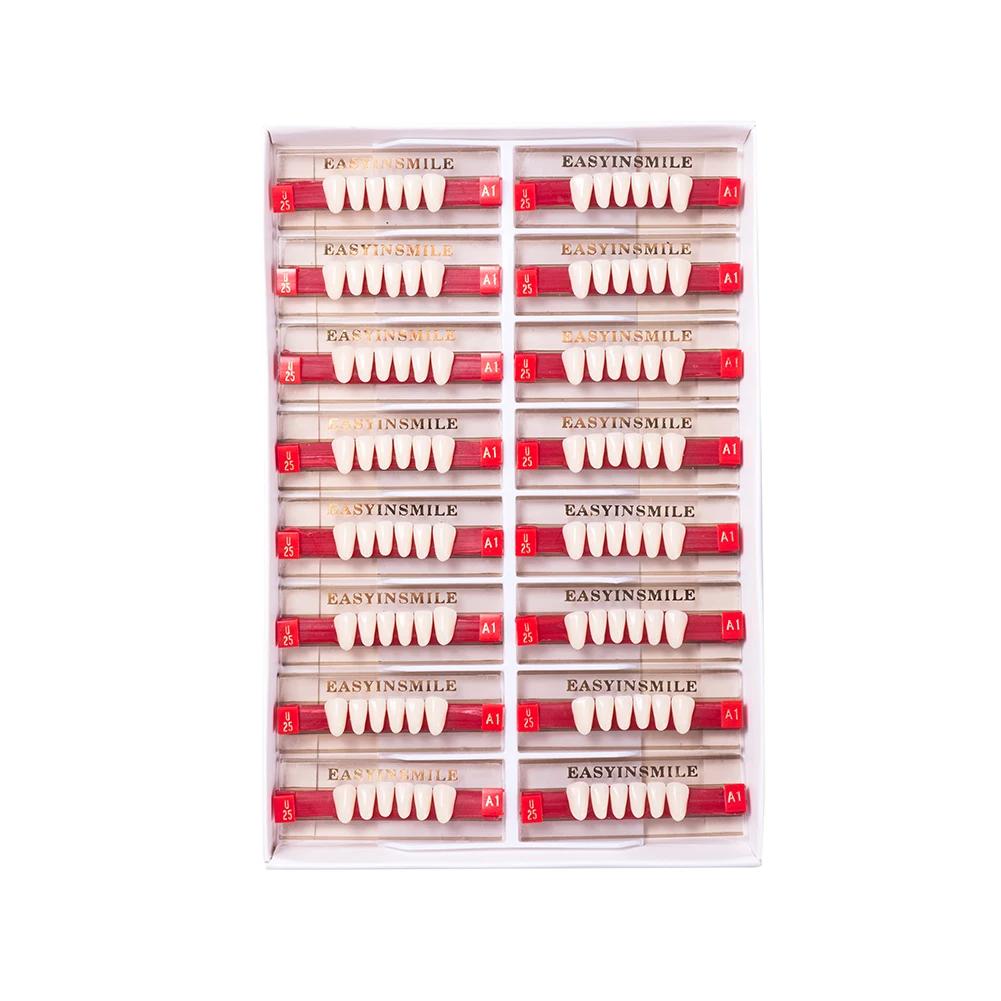 16/12 Sätze/Karton Zahnprothese Zähne Oberkiefer Frontzähne Unterkiefer Seitenzähne Dentier Synthetisches Polymerzähne Zahnmedizinische Ausbildungsmodell