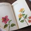 [USED] Plant encyclopedia, old German books, botanical art, junk journals