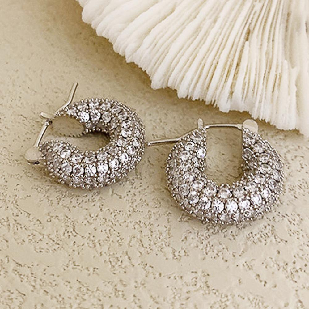 New Fashion Luxury Small/Big Hoop Earrings for Women Silver Color/Gold Color Daily Wear Versatile Earrings Statement Jewelry