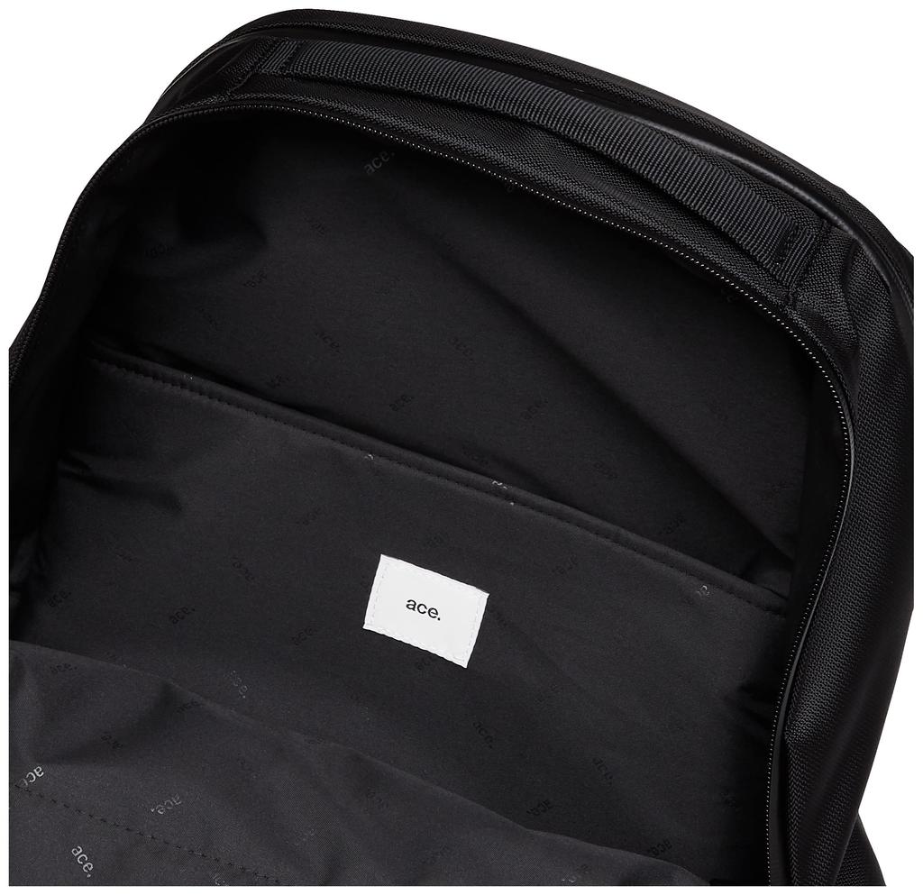 Ace Gene Business Backpack, B4 Size Compatible, Water-Resistant, Fits 15.6-inch Laptops, Air Mesh Backing, Rugmaster No. 67813, Men's, Black