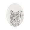 Korat – Commemorative Plaque with a Cat Photo, Tombstone with a Print |