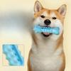 1Pcs Floating Star Shape Biting Glue Stick Pet Toy Supplies Gnawing Dogs GrindingTeeth Cleaning Consumes Energy
