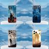 C-clair Obscur Expedition-33 Phone Case For iPhone 16,15,14,13,12,11,17 Pro,Max,Plus,X,XS,XR,SE,Mini Transparent Soft Cover